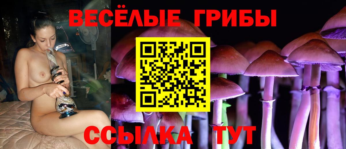 Псилоцибиновые грибы Cubensis Первоуральск